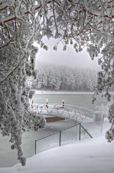 Topuk Yaylası ve Göleti
